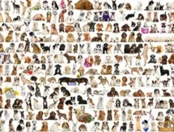 The World of Dogs Puzzel (1000 stukjes)