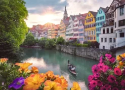 Trip to Tübingen Puzzel (1000 stukjes)