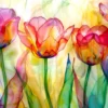 Tulip Garden Puzzel (1000 stukjes)