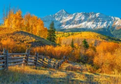 View Of Wilson Peak In Autumn - USA Puzzel (1000 stukjes)