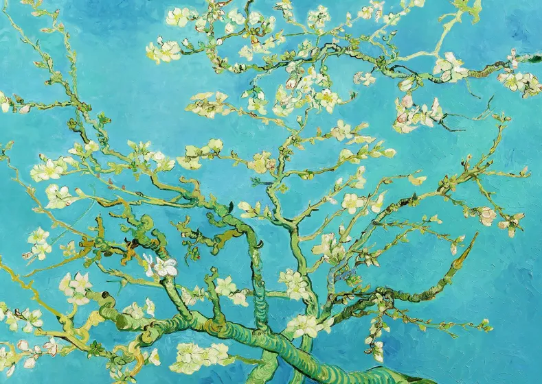 Vincent Van Gogh - Almond Blossom Puzzel (1000 stukjes)