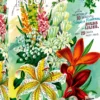 Vintage Flower Catalog Art Puzzel (1000 stukjes)