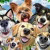 Vrolijke Honden Puzzel (500 stukjes)