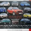 VW Golf GTI Evolution Puzzel (1000 stukjes)
