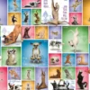 Yoga Dogs Puzzel (1000 stuks)